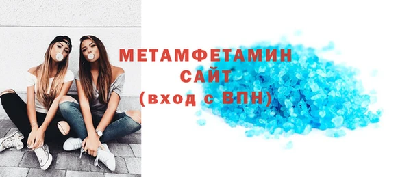 гидра Богородицк