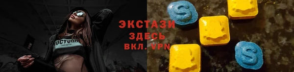 гидра Богородицк