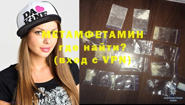 гидра Богородицк