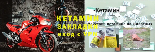 гидра Богородицк
