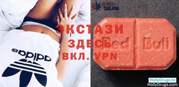 гидра Богородицк